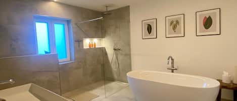 Hair dryer, towels, soap, toilet paper