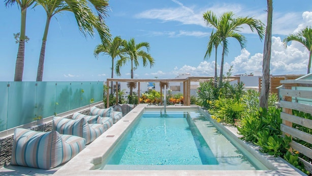 A pool area with lounge seating and palm trees.