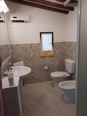 Shower, hair dryer, bidet, towels