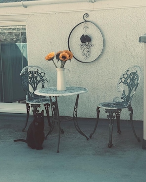 A patio with two chairs, a table, and a vase with flowers.