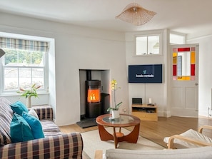 TV, fireplace, books