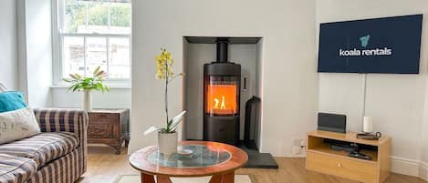TV, fireplace, books
