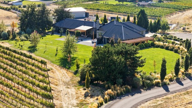 A vineyard estate with a large house surrounded by grapevines and a well-maintained lawn.