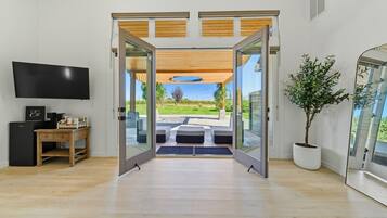 Smart TV, fireplace, books