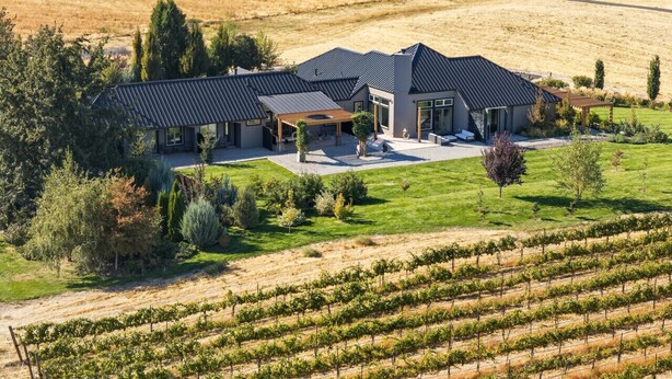 Une maison moderne dotée d’un grand patio, entourée d’un vignoble et de vastes champs.
