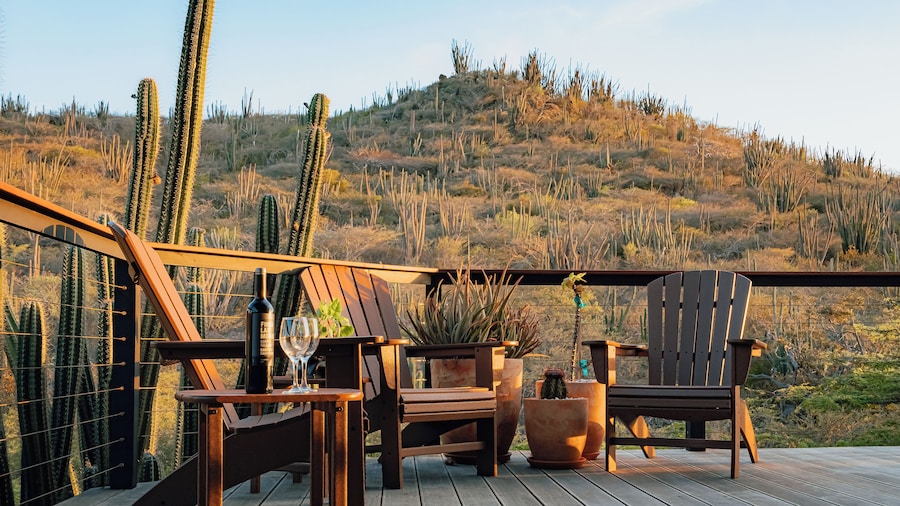 Nature View Jamanota Aruba