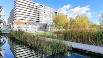 Utsikt fra overnattingsstedet