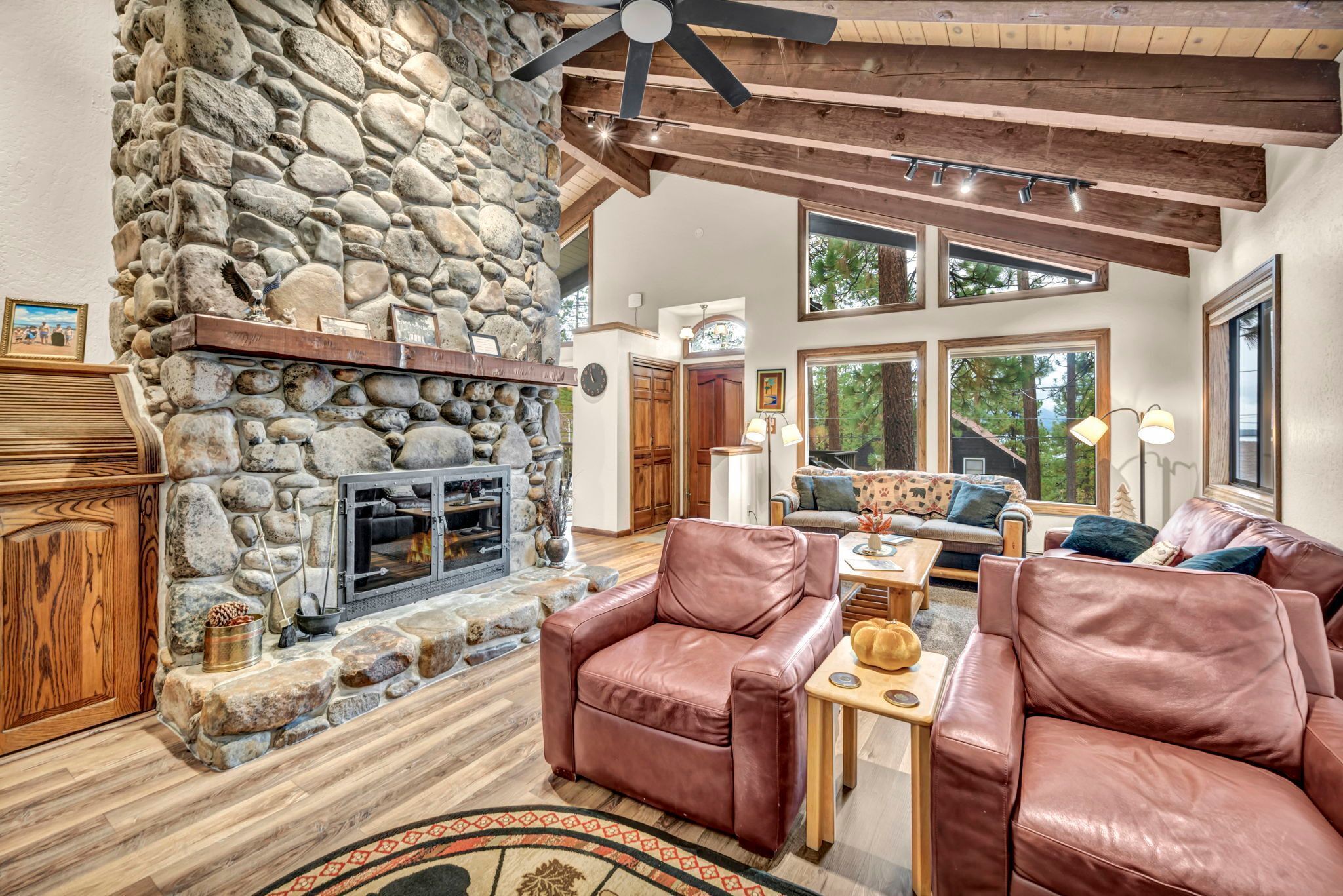 TV, fireplace, books