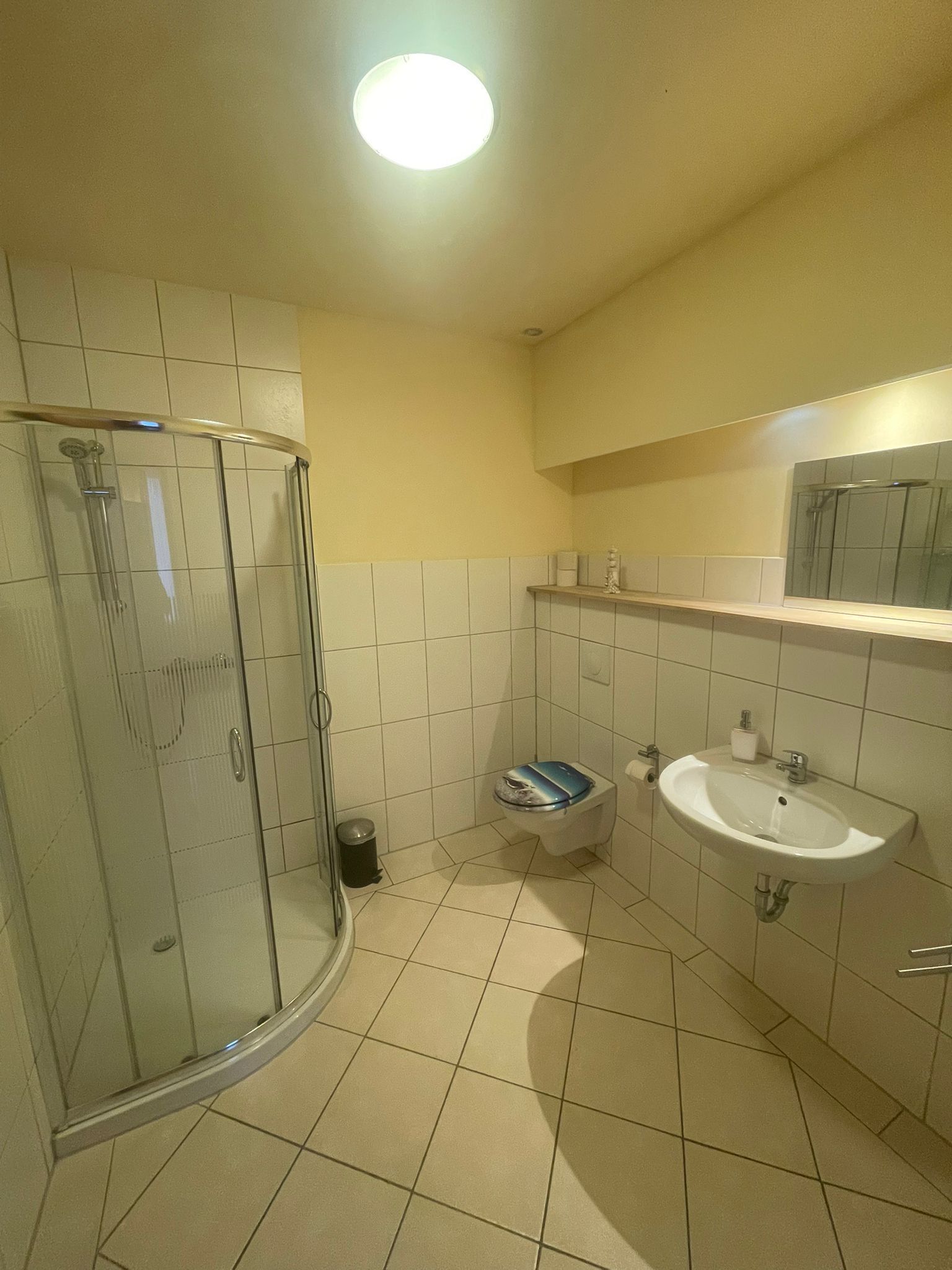 Doccia, asciugacapelli, asciugamani, carta igienica