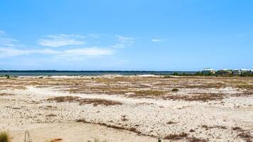 House, Multiple Beds (Just Beachy) | Beach
