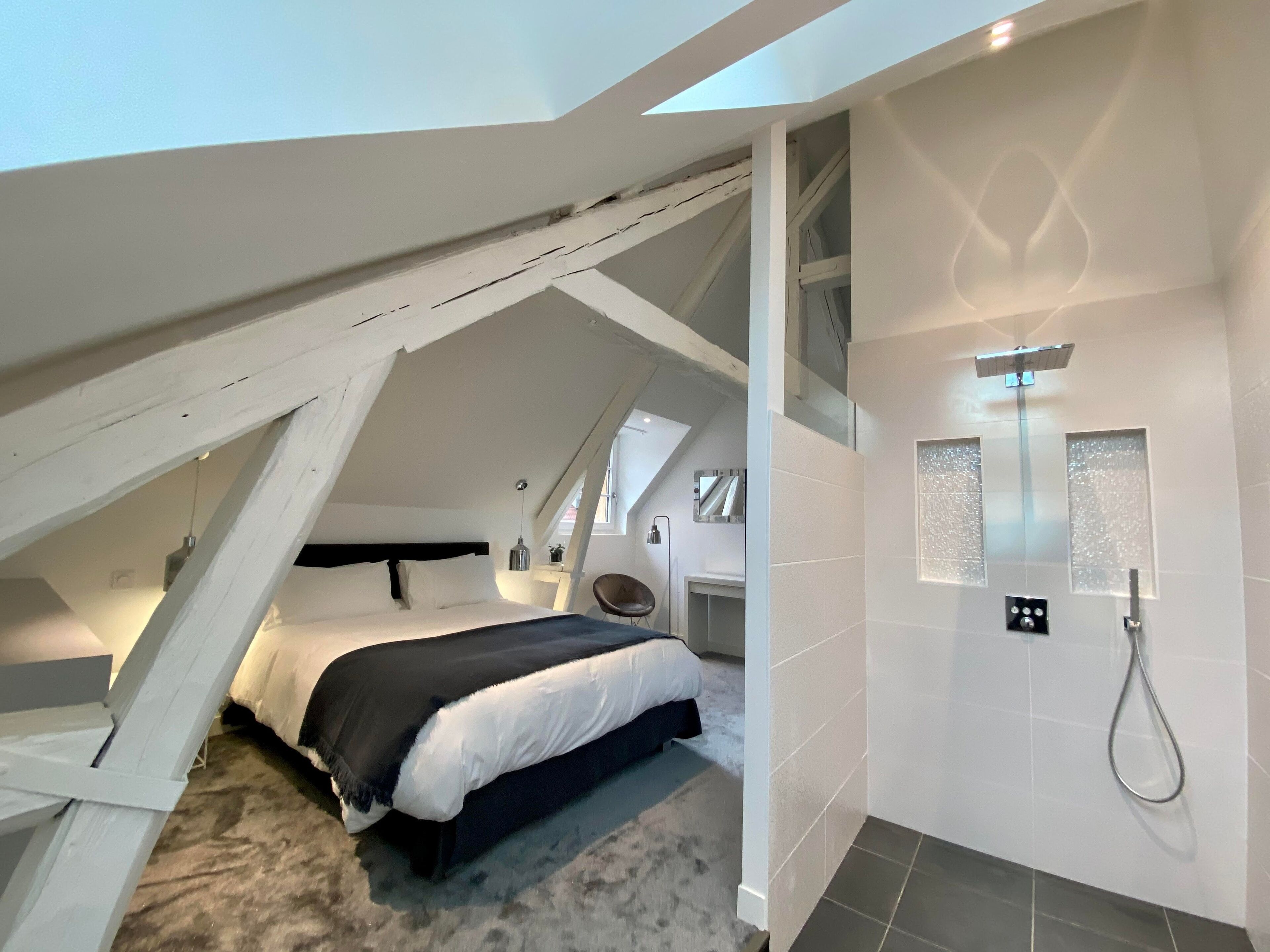 A modern bedroom with a skylight, a separate bathroom with a shower, and a staircase.