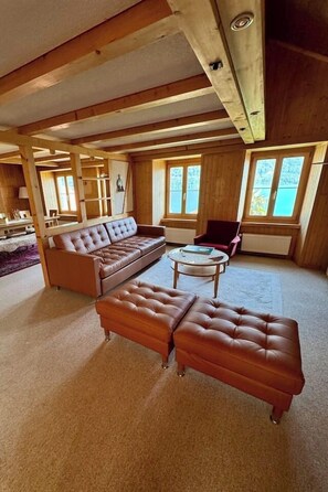 TV connectée, cheminée, livres