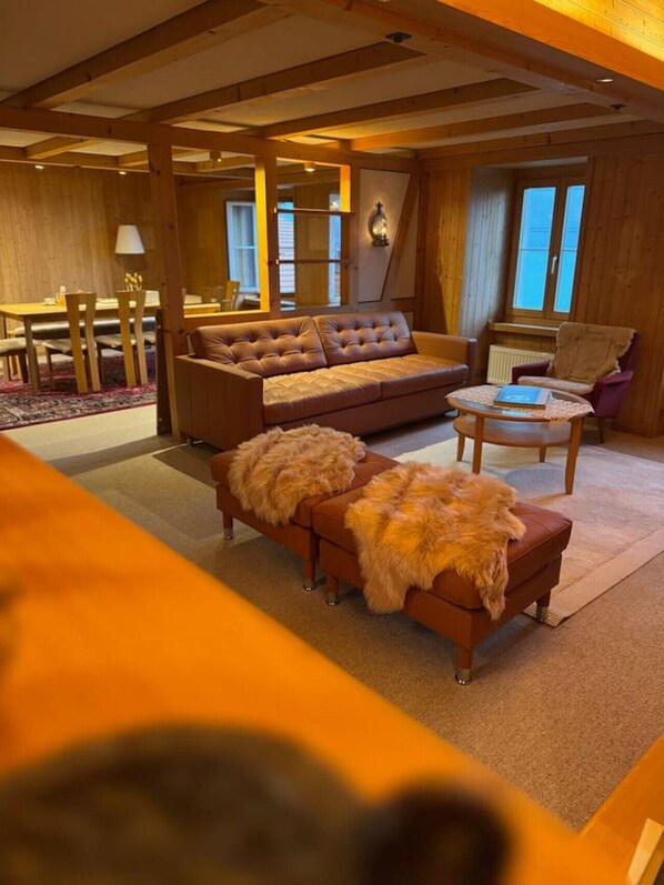 Smart TV, chimenea y libros 