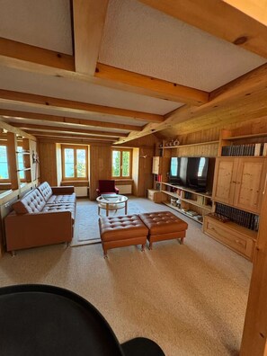 Smart TV, fireplace, books