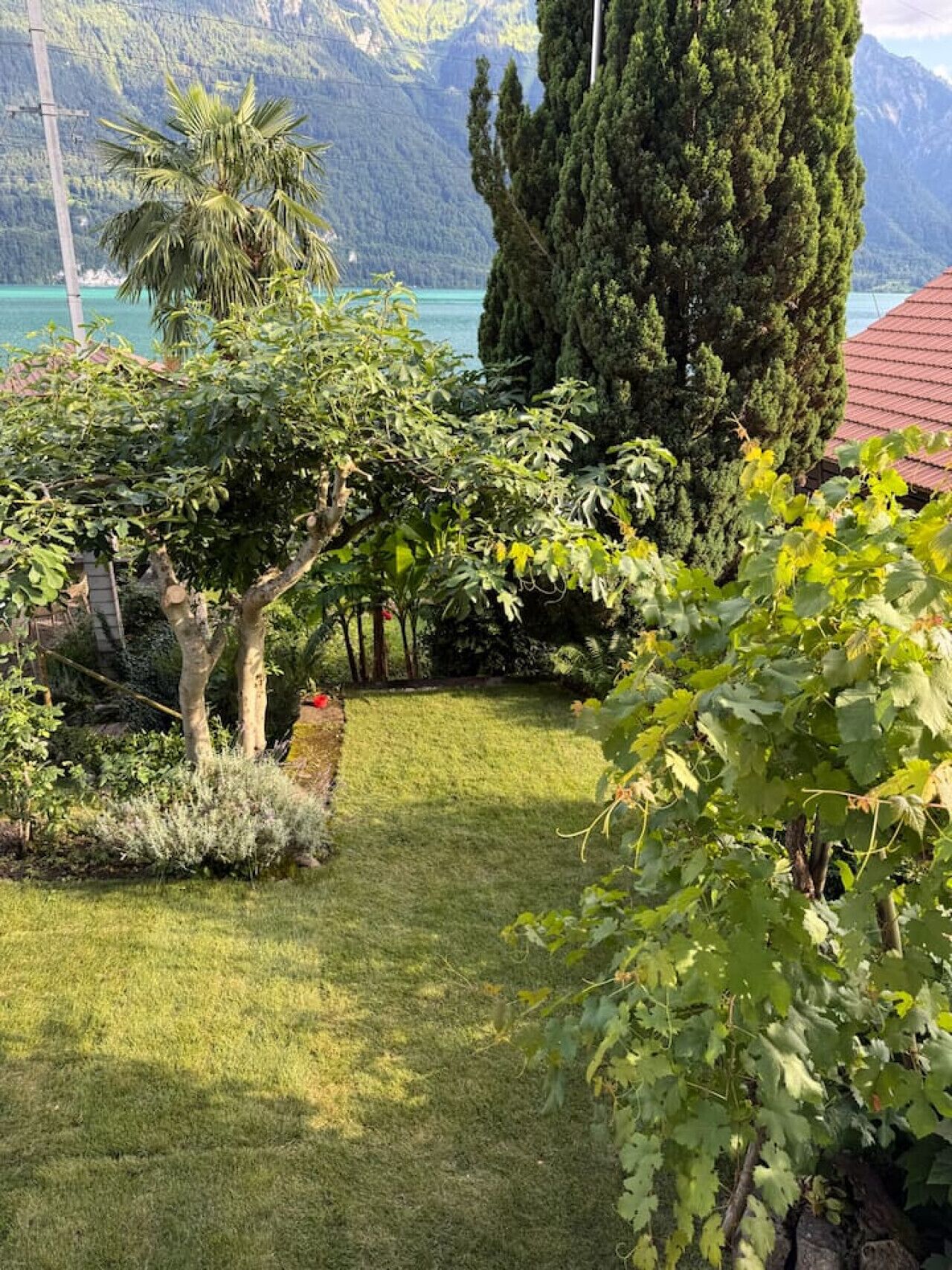 Parco della struttura
