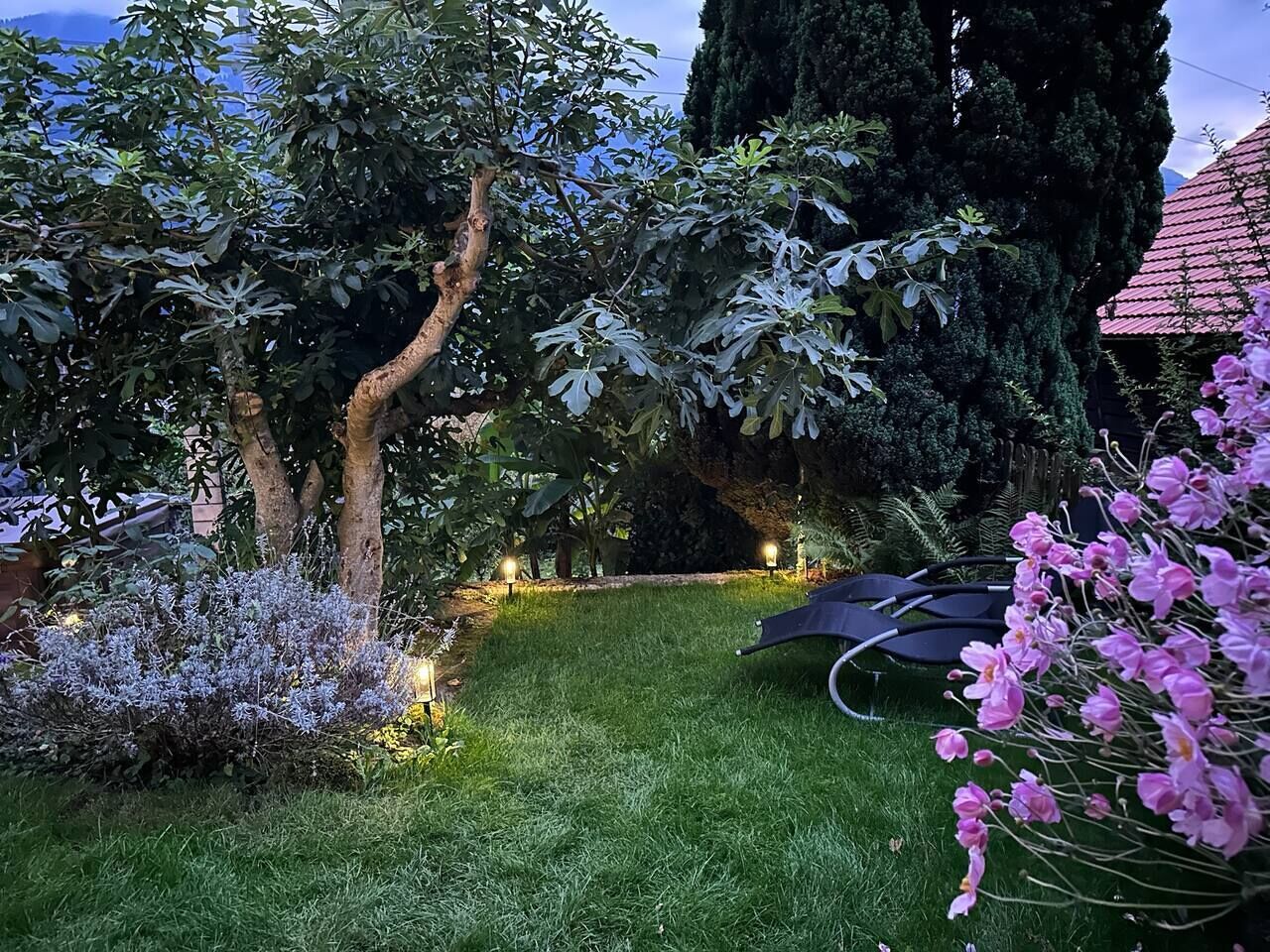 A well-maintained garden with a lawn, trees, and a trampoline.