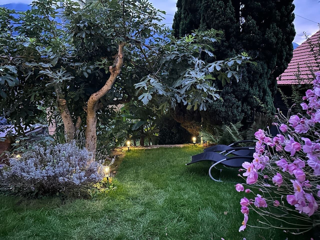 Jardines del alojamiento