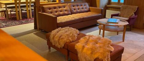 TV connectée, cheminée, livres