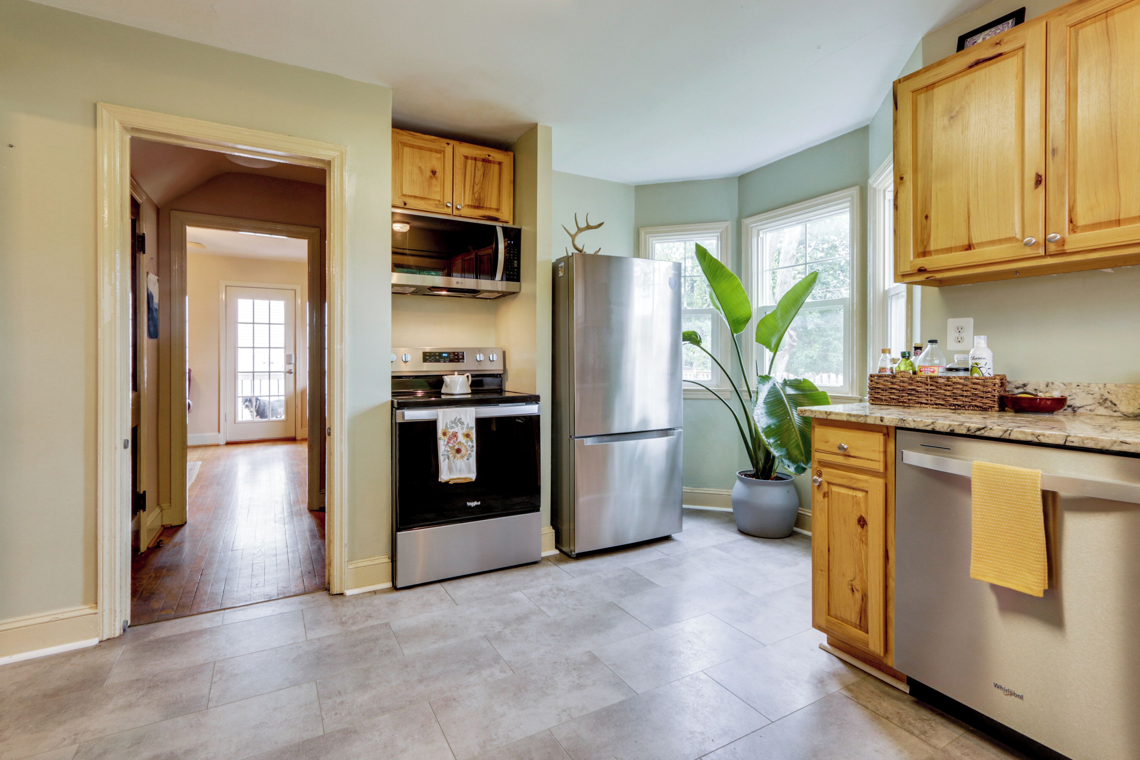 A modern kitchen with stainless steel appliances, wooden cabinets, and a potted plant.