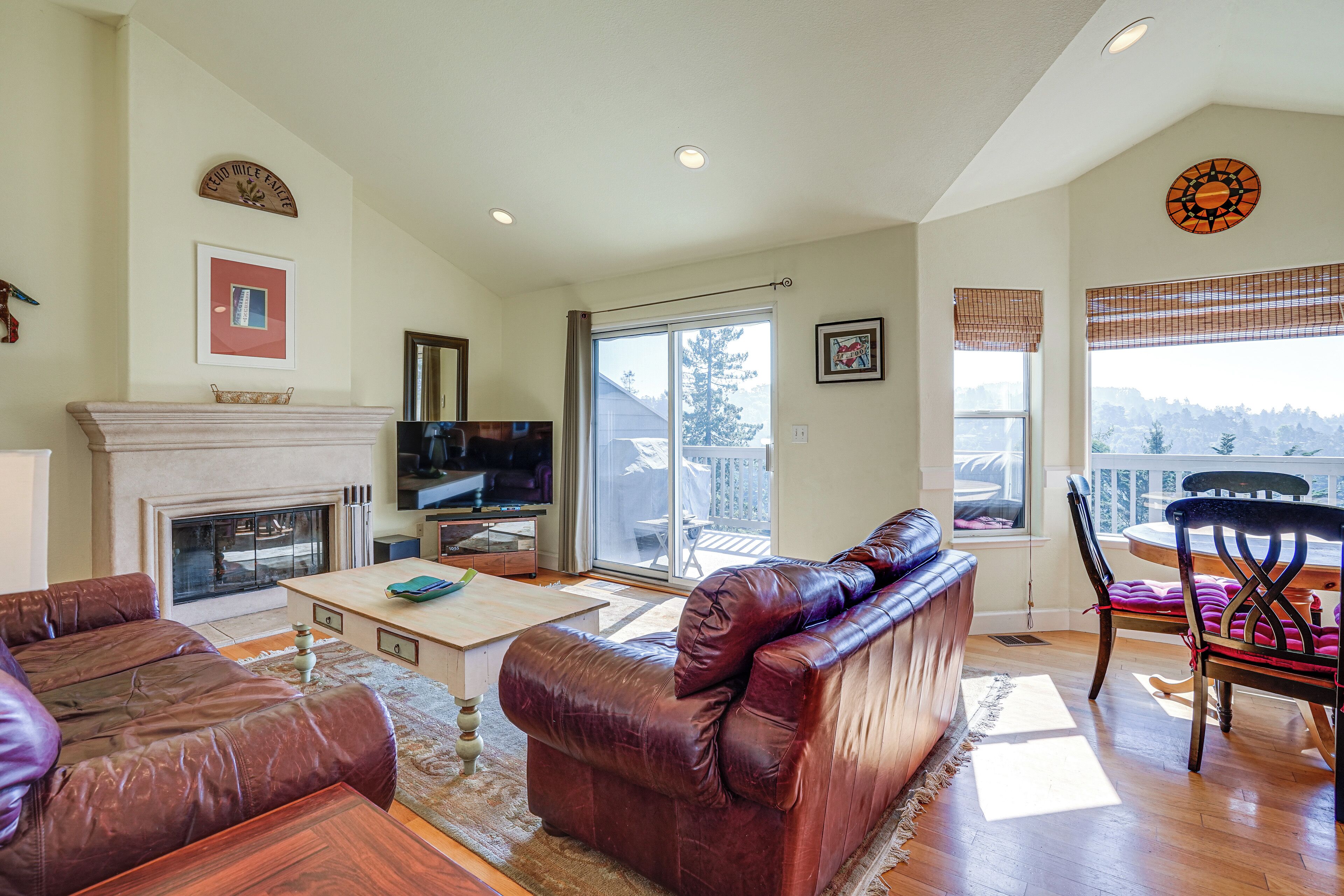 TV, fireplace, books, stereo