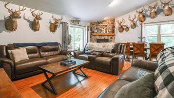TV, fireplace, video games, books