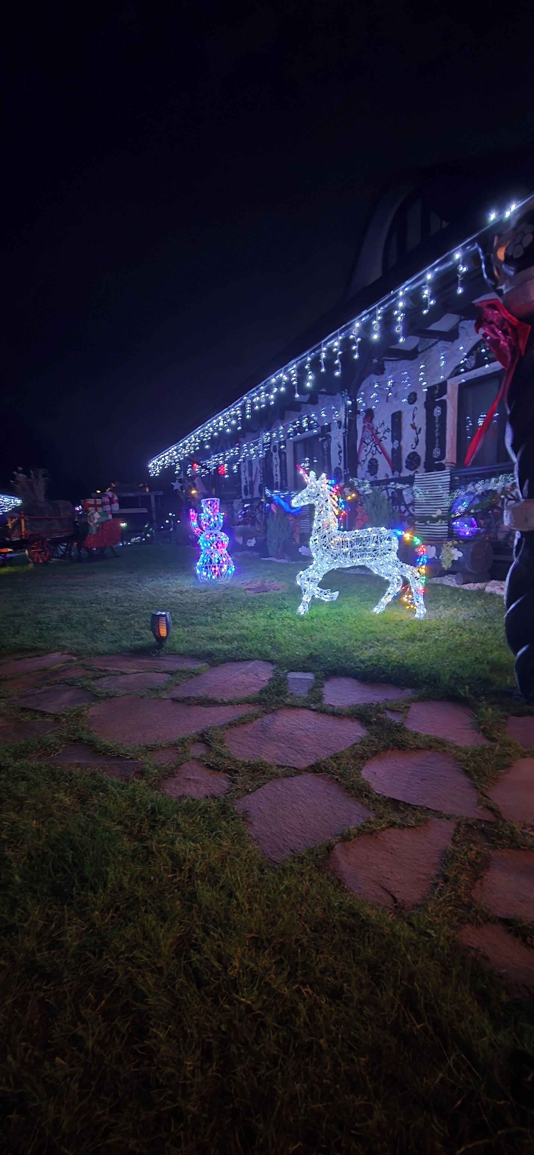 Un edificio con luces decorativas y una estatua de un caballo en el césped.