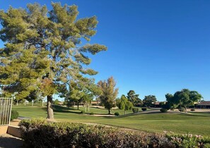 A golf course with a large tree in the foreground, a well-maintained lawn, and a clear blue sky.