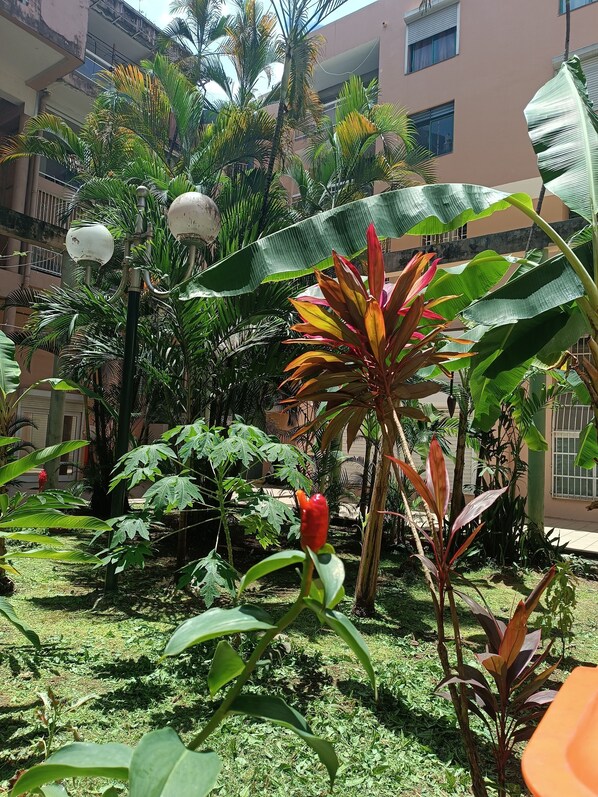 Área da propriedade