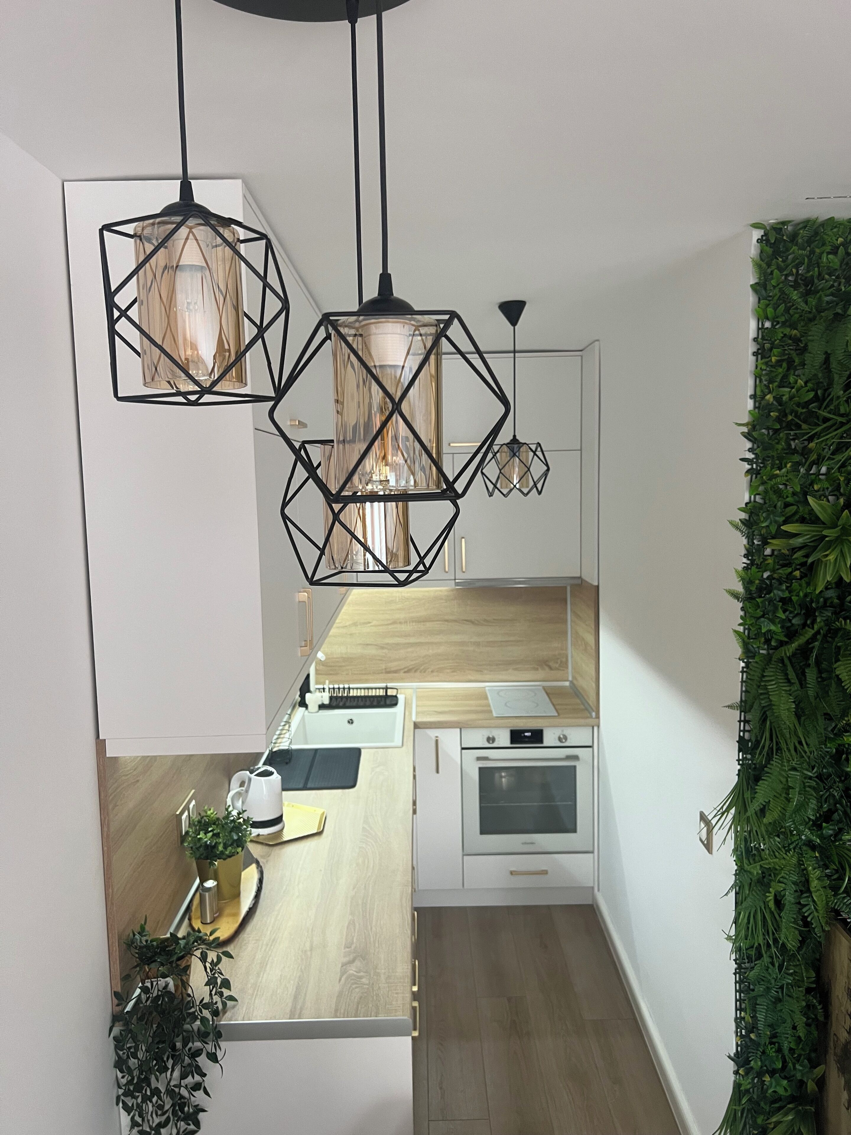 Microwave, oven, stovetop