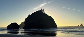 Cozy  Coastal by Beaches & Redwoods