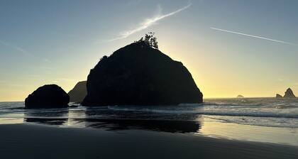 Cozy Coastal by Beaches & Redwoods