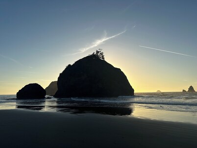 Cozy  Coastal by Beaches & Redwoods