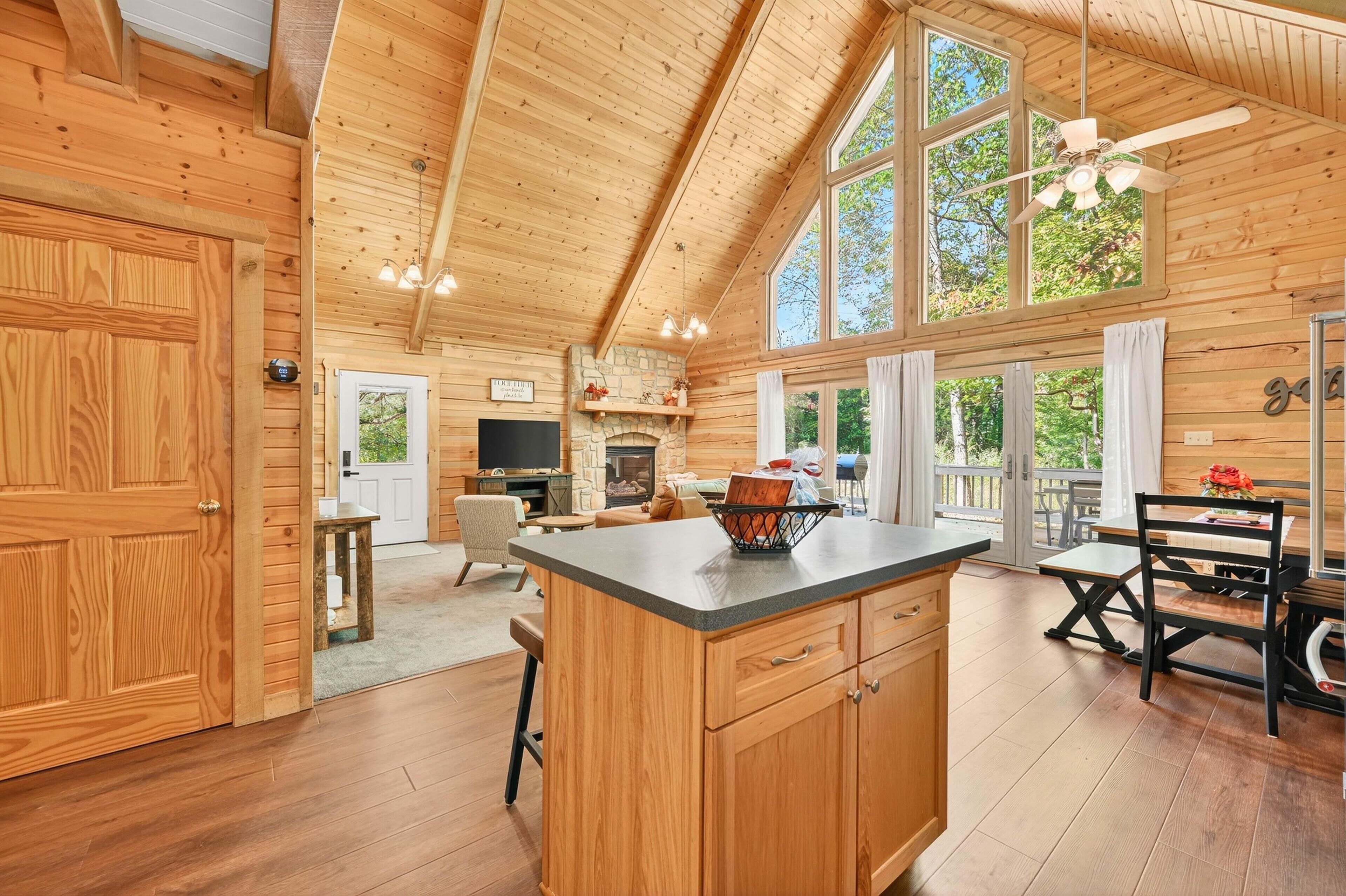 TV, fireplace, DVD player