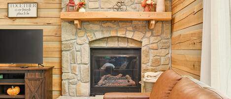 TV, fireplace, DVD player