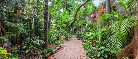 Enceinte de l’hébergement