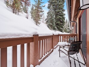 Property grounds - Christmas week 2-bedroom condo with pool & hot tubs in the Marriott Streamside (Vail)