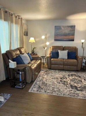 Smart TV, fireplace, books, music library