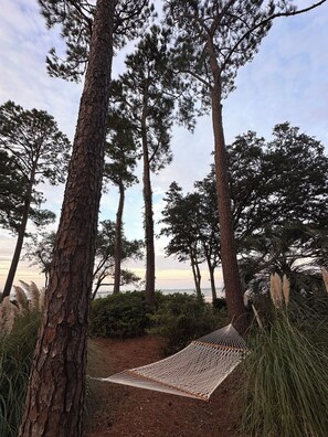 Terrain de l’hébergement 