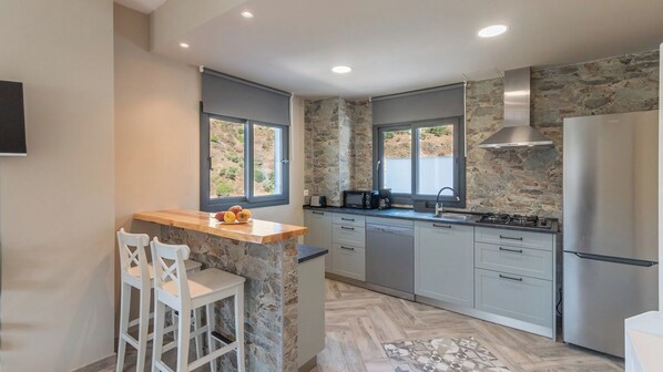 Fridge, microwave, stovetop, dishwasher