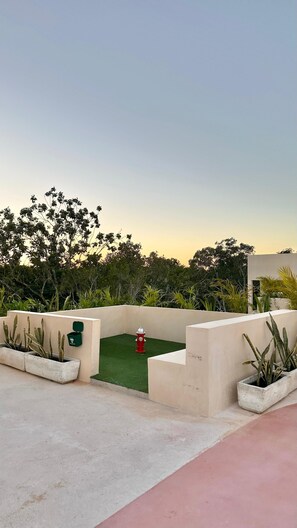 Terraza en la azotea