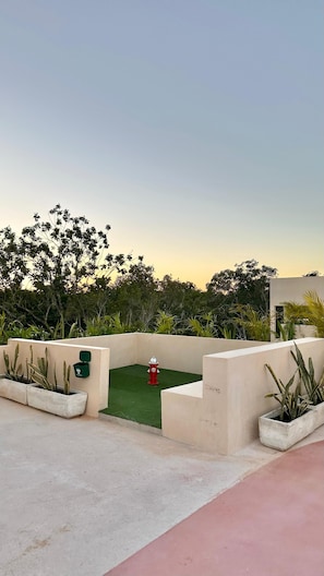 Terraza en la azotea