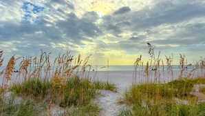 A beach with sand dunes and tall grasses in the foreground, leading to the ocean.