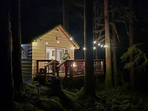 Moss Top Cabin-off grid living moss roof cabin in the woods