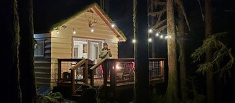 Moss Top Cabin-off grid living moss roof cabin in the woods