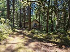 Exterior - Moss Top Cabin-off grid living moss roof cabin in the woods (Marblemount)