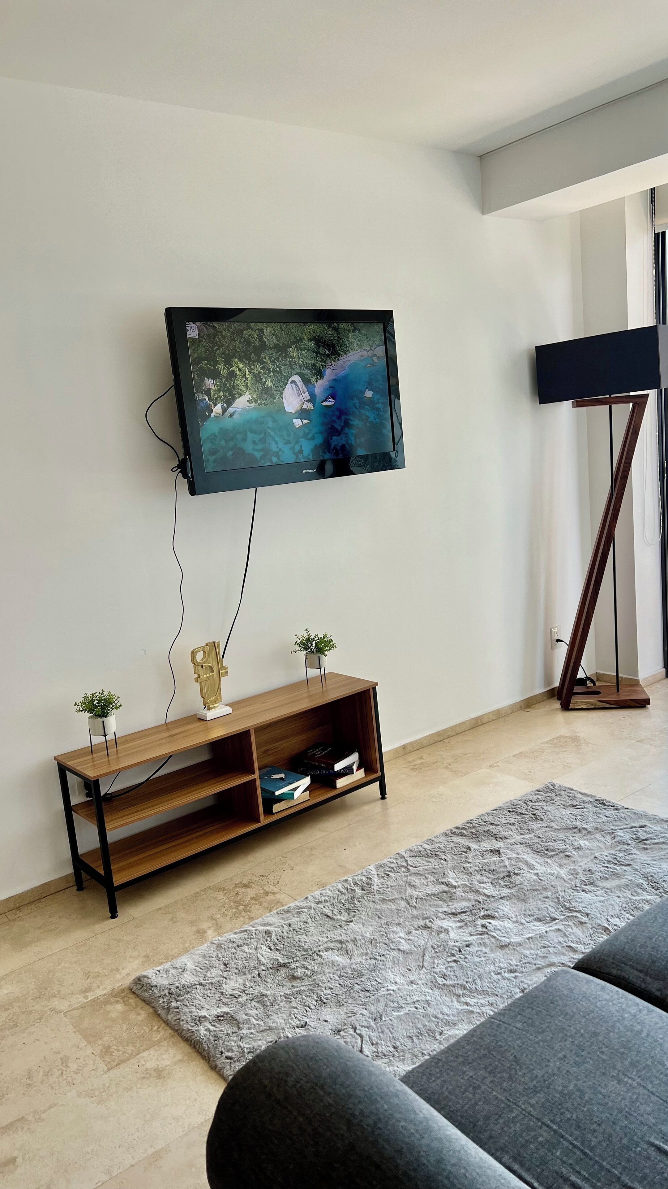 TV