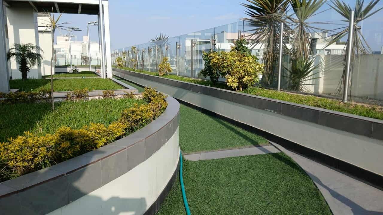 A modern outdoor area with a pathway, green artificial grass, and various plants.
