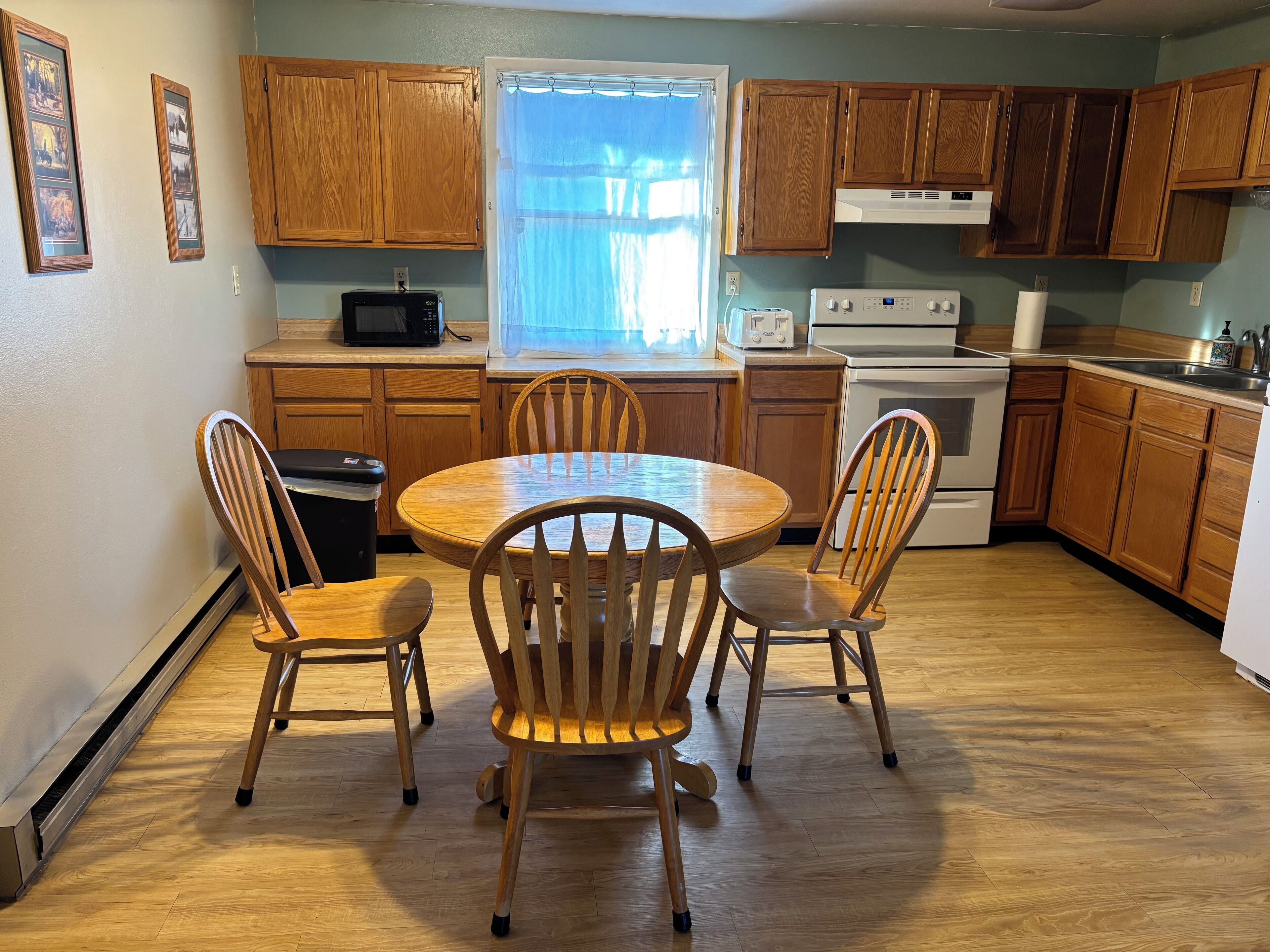 Microondas, horno, placa de cocina