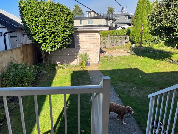 Terrain de l’hébergement 