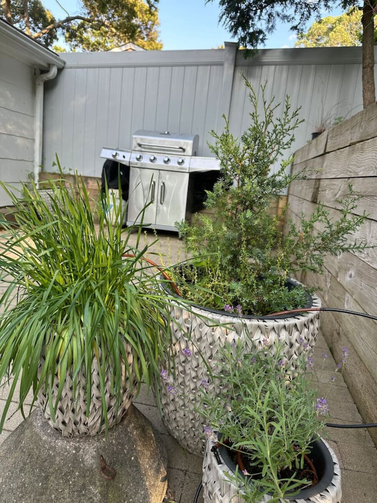 Ein Garten mit Grill, zwei große gewebte Pflanzgefäße mit Pflanzen und einem Holzzaun.